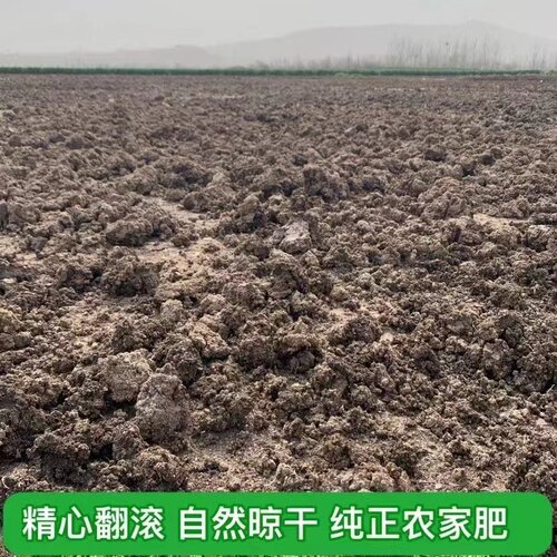 纯干鸡粪肥有鸡肥天然农家肥花卉果树蔬菜通用鸡屎肥纯干鸡粪块 - 图1