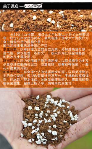 食虫植物专用土小虫草堂种植土营养土壤泥炭土介质水苔捕蝇草无肥 - 图2