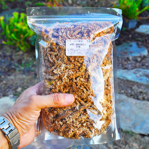 食虫植物基质专用土赤玉土植金石麦饭石泥炭珍珠岩火山蛭石硅藻土 - 图1