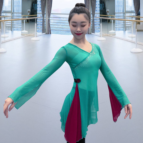 古典舞身韵纱衣镶钻舞蹈服装中国舞现代民族形体瑜伽飘逸练功服女 - 图2