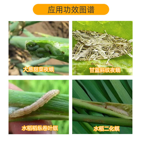斯品诺 34%乙多甲氧虫二化螟稻纵卷叶螟甜菜夜蛾杀虫剂陶氏益农 - 图1