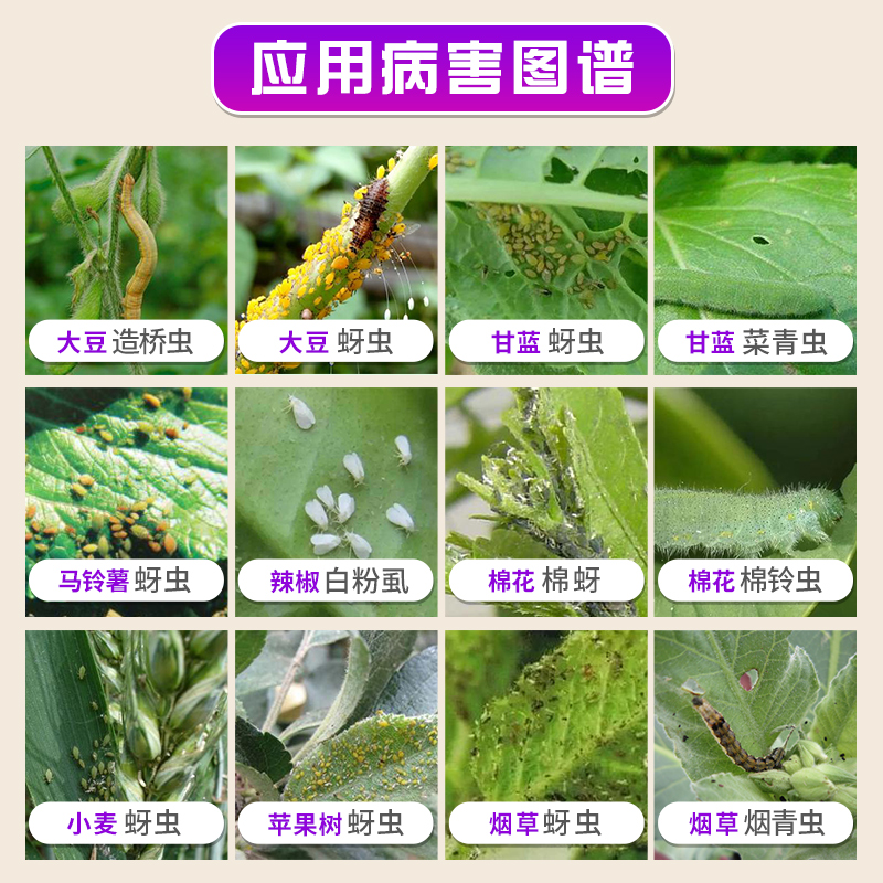 先正达阿立卡噻虫嗪高氯氟蚜虫腻虫蓟马绿叶蝉飞白粉虱农药杀虫剂 - 图0