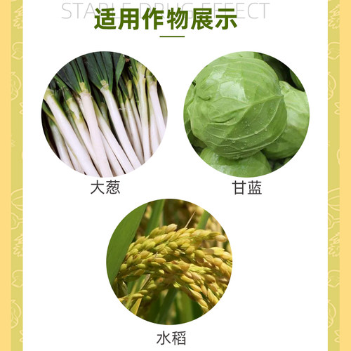 斯品诺 34%乙多甲氧虫二化螟稻纵卷叶螟甜菜夜蛾杀虫剂陶氏益农 - 图2