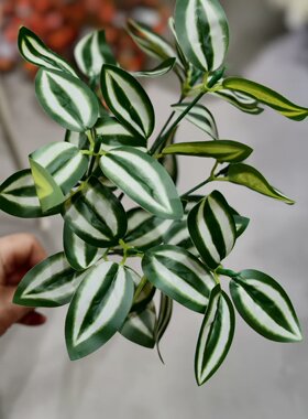 仿真水草龟鱼缸布景植物水族箱鱼缸塑料造景装饰品树脂沉木景观