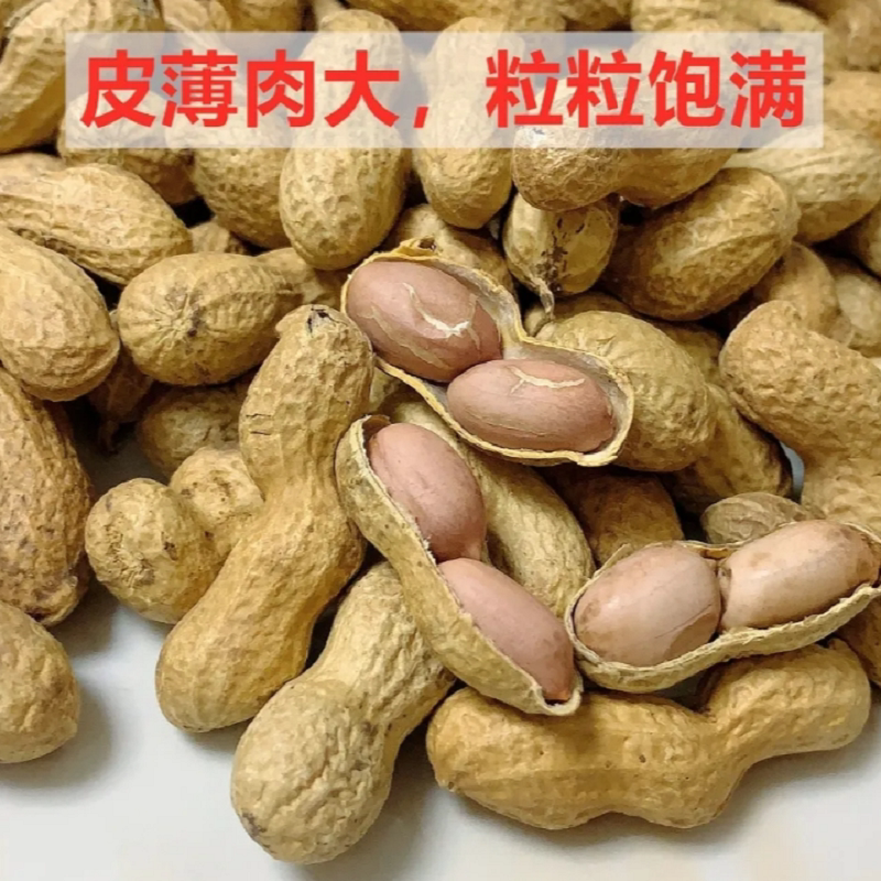 花生10斤装蒜香晒干带壳水煮五香福建龙岩原味盐水蒜蓉味零食5咸_虎窝淘