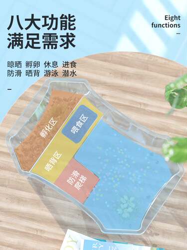 包邮龟刚 带缸龟缸送2只小乌龟活物活体龟盆巴西龟宠物龟中华草龟 - 图3
