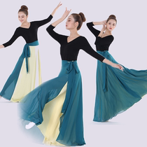 North Korea Dance Practice Skirt dress Double face wearing half-body dress two-tone large pendulum dance dress rehearsal to perform adult