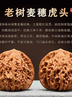 精品麦穗虎头文玩麻核桃配对工整纹路清晰饱满收藏送礼机刷盘包浆