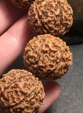 大金刚菩提原籽文玩手串