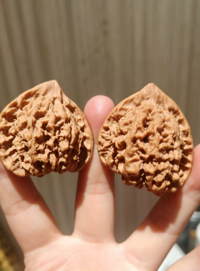 文玩核桃一物一图天然稀缺天残角异形核桃天使之意小众收藏把玩