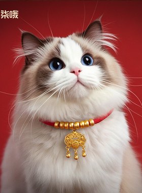 新年猫狗红绳金珠长命锁项圈