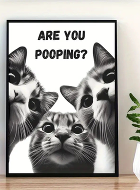 Art quote you are pooping black cat kitten reading newspaper