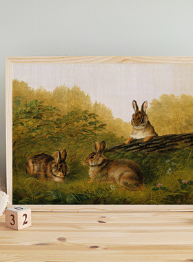 Rabbit Vintage Oil Painting Canvas Art Prints Nursery Poster