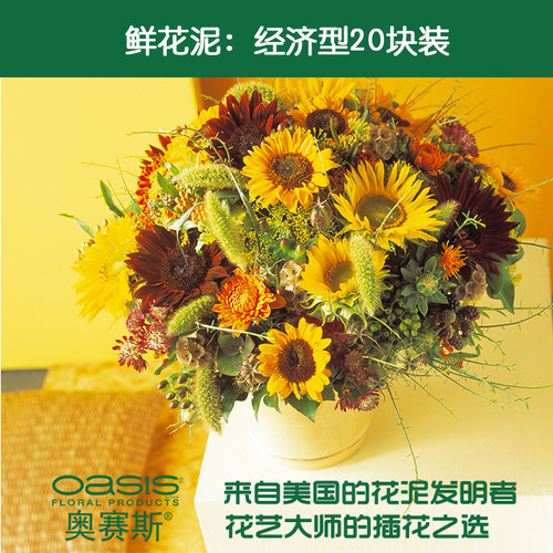 奥赛斯®花泥 oasis经济型20块装花泥 插花湿花泥鲜花泥 原奥塞斯 - 图1