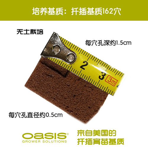 奥赛斯®扦插培养基质162穴无土栽培种菜阳台花园绿植种植产品 - 图0