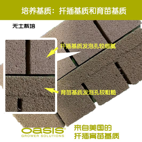 奥赛斯®扦插培养基质162穴无土栽培种菜阳台花园绿植种植产品 - 图3