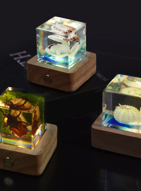 开学季昆虫海洋微景观冰封摆件自然文创礼品节日纪念品送儿童