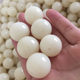 Purely natural white bodhi root large round beads carefully selected