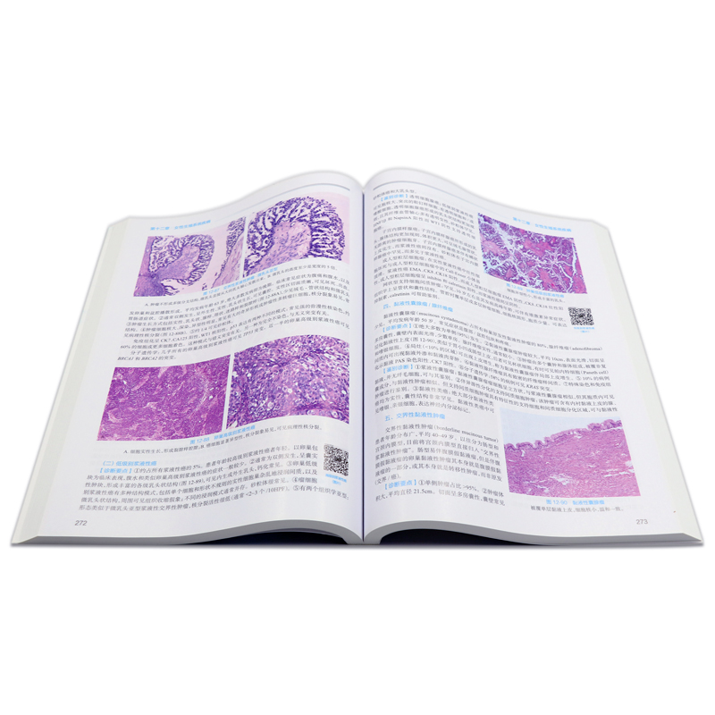 临床病理学 第二版规培全国住院医师规范化培训教材理论结业考试pdf内科学超声医学骨科学肿瘤放射治疗学医学遗传学急诊医学书籍 - 图3