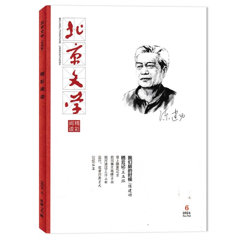 【套餐可选】共9本 北京文学精彩阅读原创版杂志 2024年1-9期组合打包  现货文摘文学阅读期刊小说阅读期刊,淘宝优惠券,粉丝福利购,淘宝优惠卷