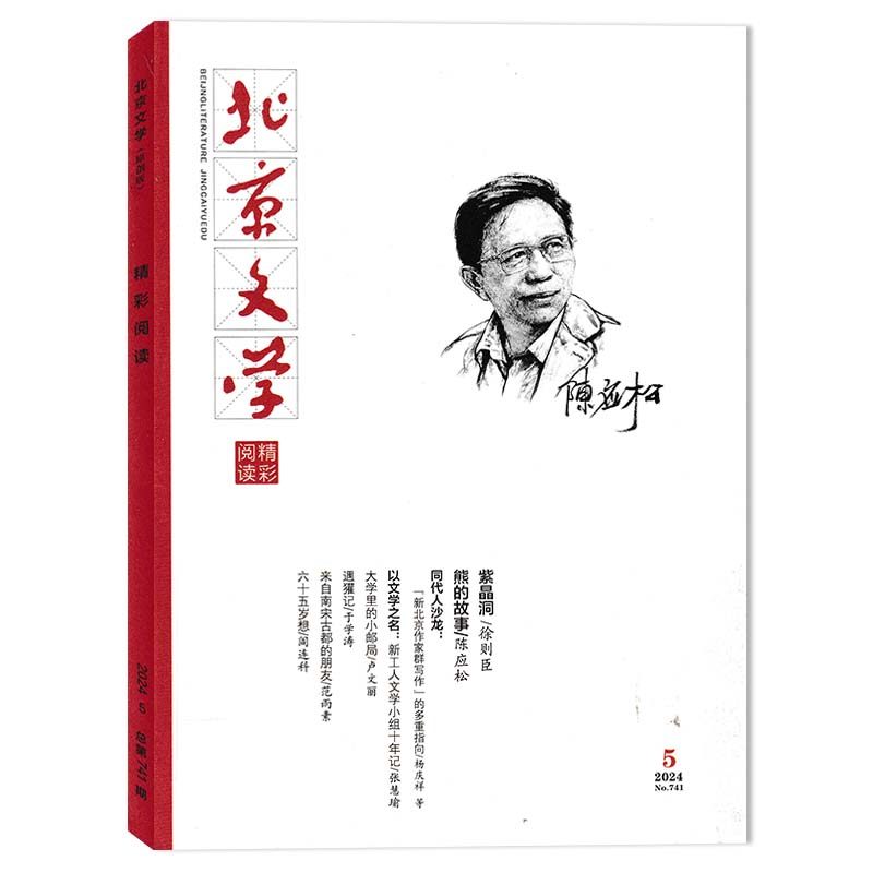 【套餐可选】共9本 北京文学精彩阅读原创版杂志 2024年1-9期组合打包  现货文摘文学阅读期刊小说阅读期刊,淘宝优惠券,粉丝福利购,淘宝优惠卷