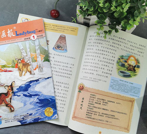 【福袋清仓 共8本】中国儿童画报杂志系列不限系列随机8本打包百变马丁盲盒图画书小学生课外漫画故事书籍期刊 - 图3