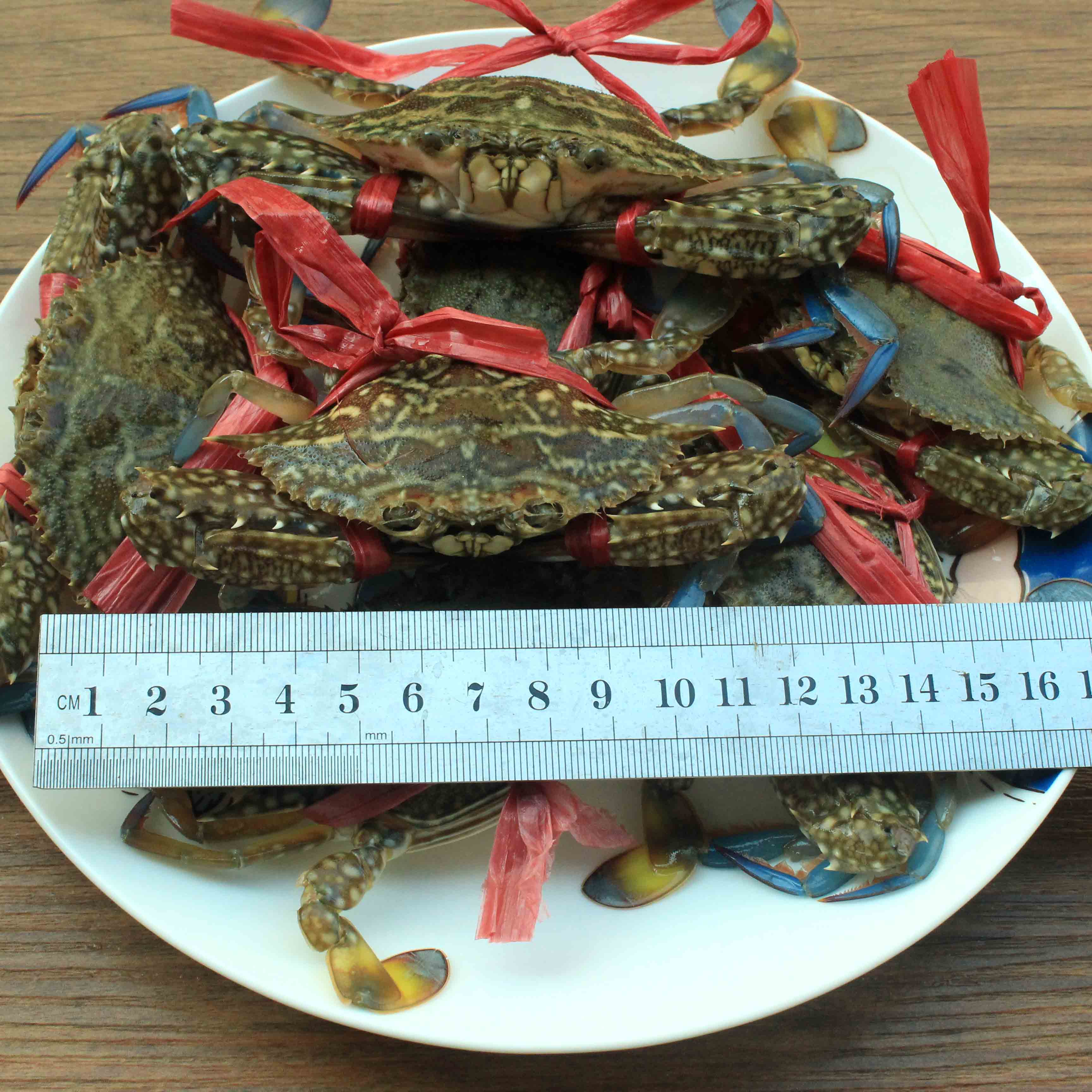 Fresh sea-caught flower chilled swimming crab, stone crab/flower crab/sea crab, flower crab large fresh type chilled 500g