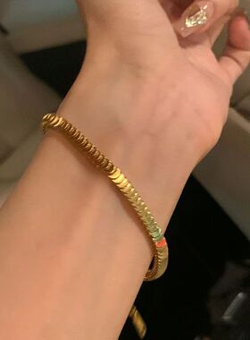 钛钢手链 简约时尚高级小众轻奢鱼鳞片手链女不褪色气质手环手饰