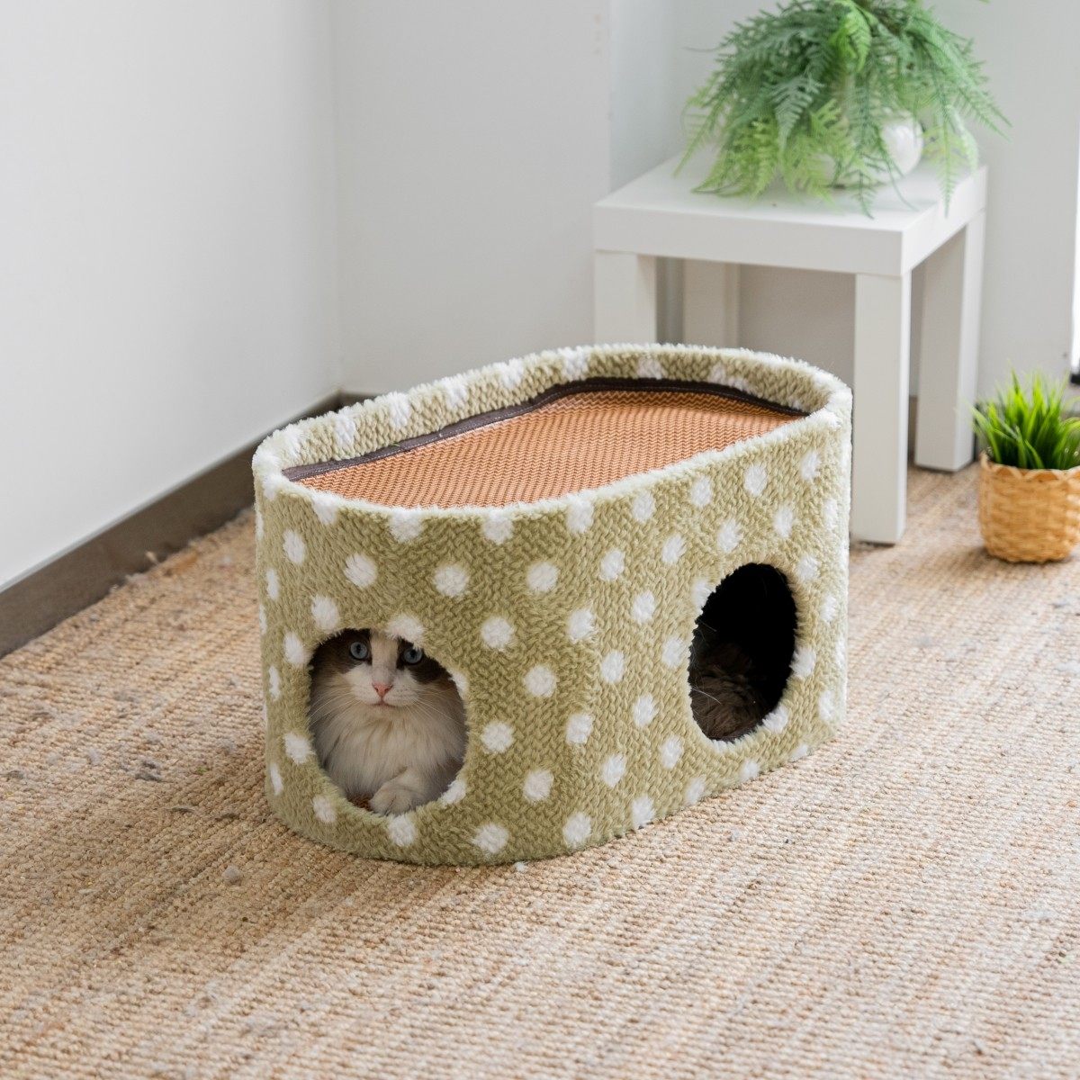 猫窝猫树猫爬架一体剑麻磨爪子猫抓板豪华四季垫子拆洗猫房子猫屋,淘宝优惠券,粉丝福利购,淘宝优惠卷