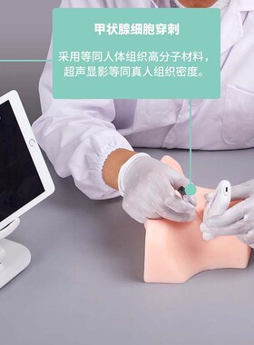 甲状腺模型超声引导EMENT高仿真