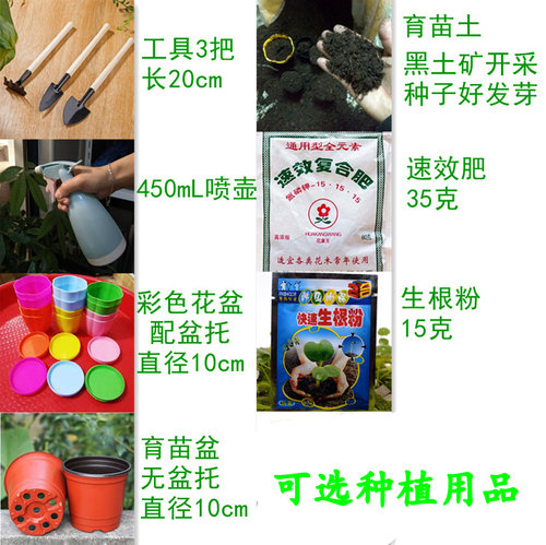 花种子大全合集四季种易活阳台盆栽花卉种籽组合套餐花籽花子包邮 - 图2