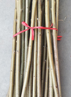 桃木雕刻发簪子桃树枝