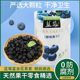 Bulk high quality large dried wild blueberries