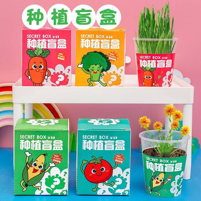实用儿童DIY种植盲盒开业活动赠品礼物三四五年级学生奖励小礼品