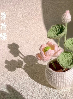手工钩针自制好运莲莲荷花盆栽编织diy材料包手作送老师送礼物