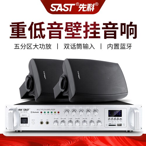 先科P6壁挂音响商店铺专用蓝牙功放套装挂墙式重低音室内餐厅音箱 - 图2