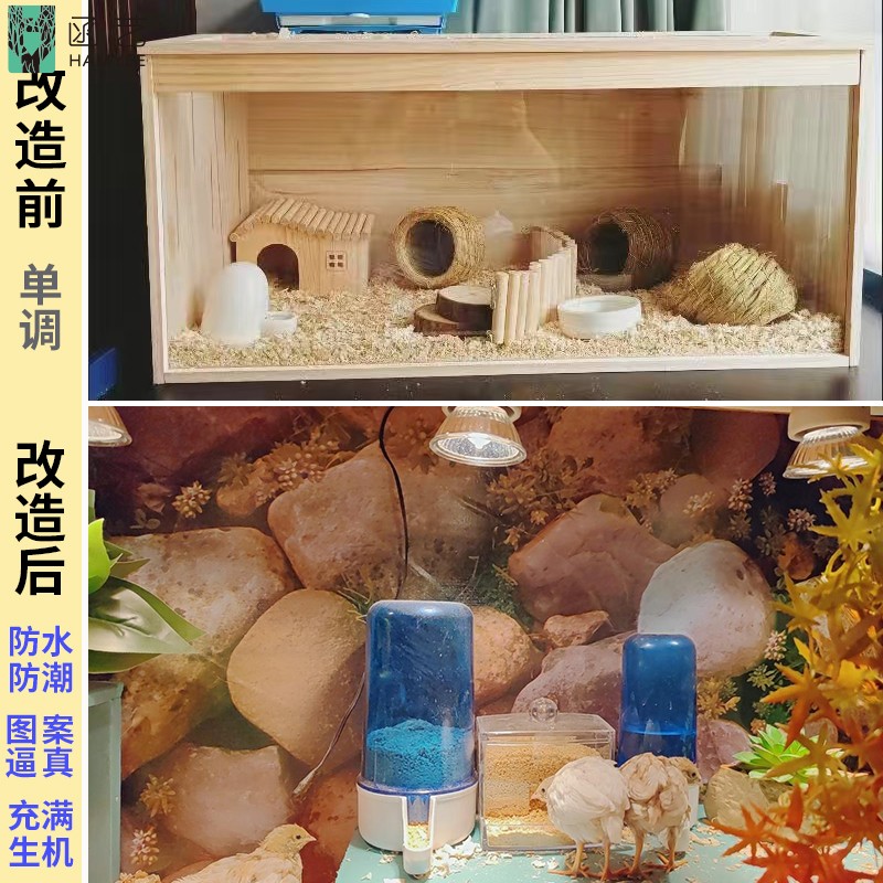 宠物饲养殖箱造景贴纸芦丁鸡仓鼠鸟保温箱仿真大自然生态背景墙纸-图3