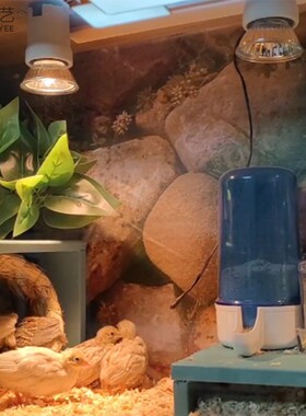 宠物箱背景pvc环保材质防水防潮