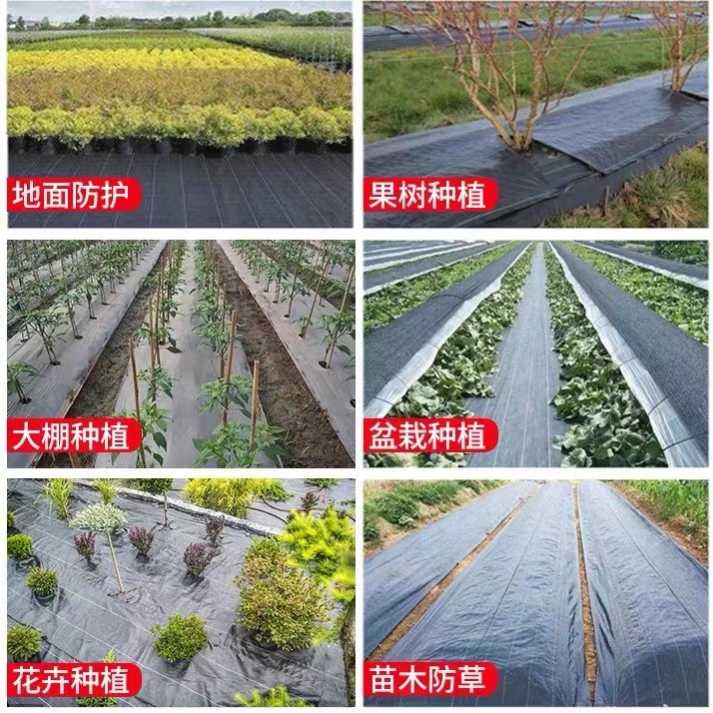 防草布除草布地膜抗老化果园果树遮草盖草布除草地布防草布农用 - 图3