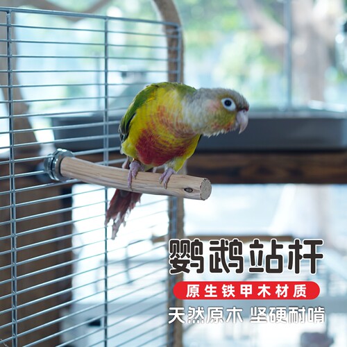 鹦鹉站杆铁甲木磨嘴鸟笼站杆站棍自然树枝玄凤牡丹虎皮站杆可定制 - 图0
