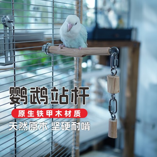 鹦鹉站杆铁甲木磨嘴鸟笼站杆站棍自然树枝玄凤牡丹虎皮站杆可定制 - 图1