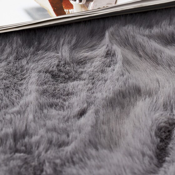 Modern minimalist living room cat-like sofa coffee table blanket