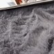 Modern minimalist living room cat-like sofa coffee table blanket