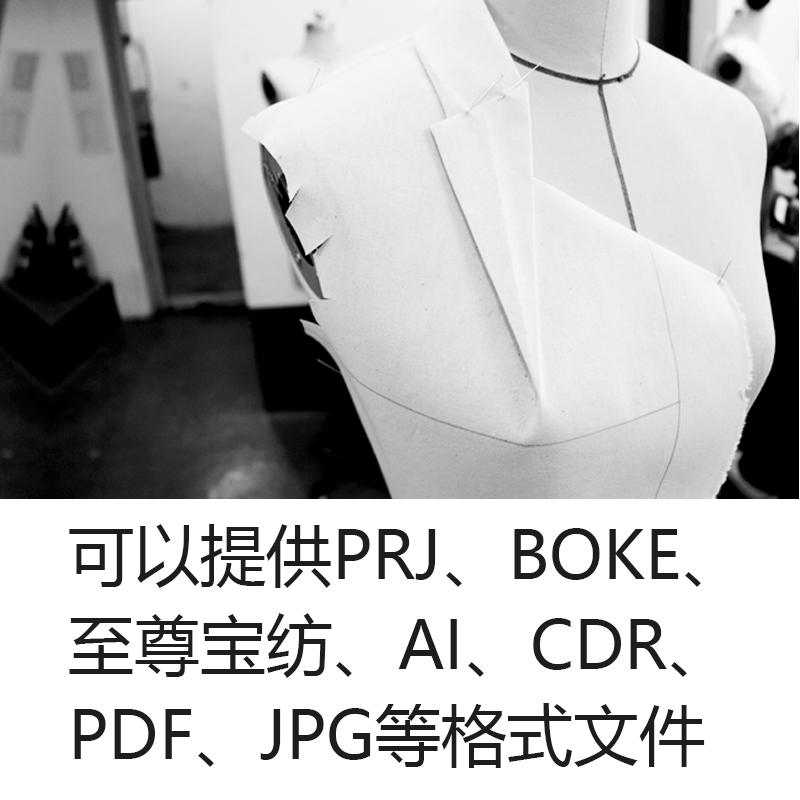 服装CAD代客制版代画结构图标数据CDR、ET、BOKE、至尊宝纺、丽科 - 图0