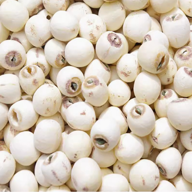 莲子带芯干货官方旗舰店中药材无硫特级野生优质白结婚用500g批发,淘宝优惠券,粉丝福利购,淘宝优惠卷