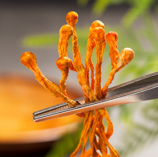 蛹虫草花干货新鲜特级野生孢子头旗舰店金虫草菇煲汤材料鸡汤250g - 图1