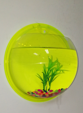 挂壁花瓶绿萝绿植花盆家居装饰花器水培壁饰墙上圆形装饰器皿贴墙