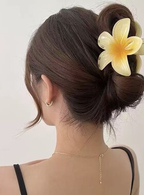 彩色鸡蛋花精致抓夹高级感