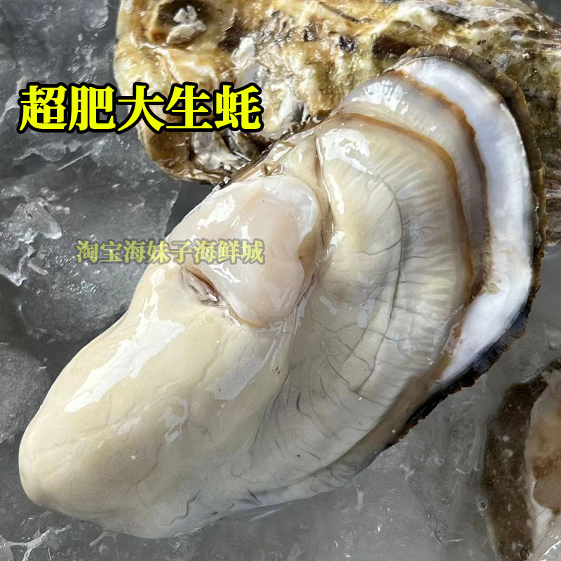 生蚝鲜活10斤牡蛎新鲜带壳超大海蛎子5斤整箱海鲜水产 - 图0