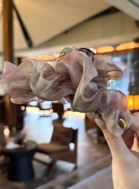 韩国网纱珍珠大肠发圈高级感